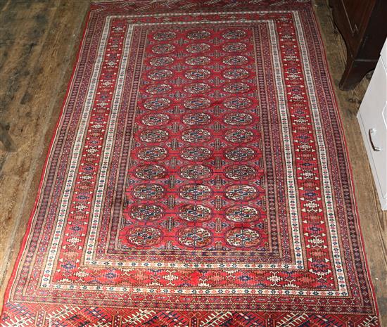 Bokhara rug(-)